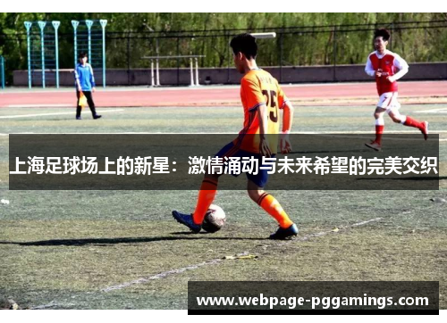 上海足球场上的新星：激情涌动与未来希望的完美交织