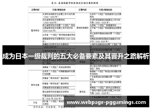 成为日本一级裁判的五大必备要素及其晋升之路解析