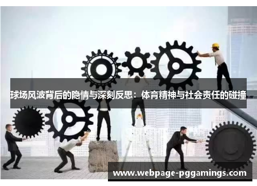 球场风波背后的隐情与深刻反思：体育精神与社会责任的碰撞