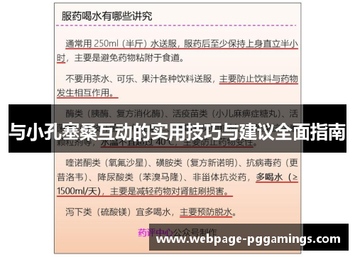 与小孔塞桑互动的实用技巧与建议全面指南
