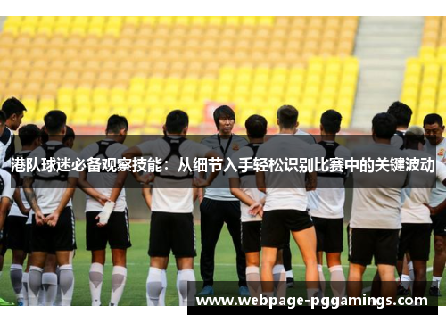 港队球迷必备观察技能：从细节入手轻松识别比赛中的关键波动