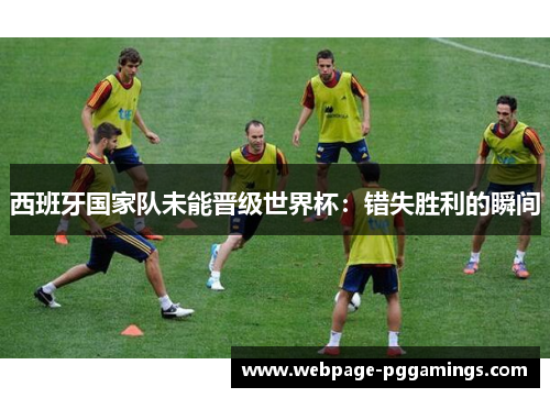 西班牙国家队未能晋级世界杯：错失胜利的瞬间