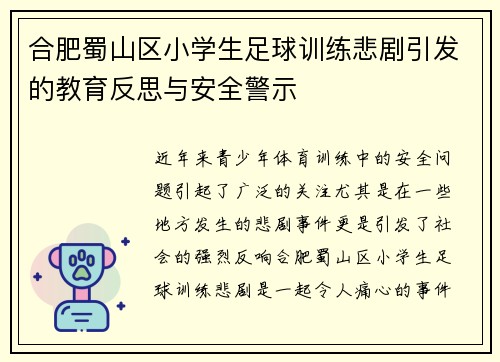 合肥蜀山区小学生足球训练悲剧引发的教育反思与安全警示