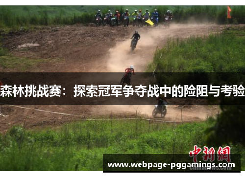 森林挑战赛：探索冠军争夺战中的险阻与考验