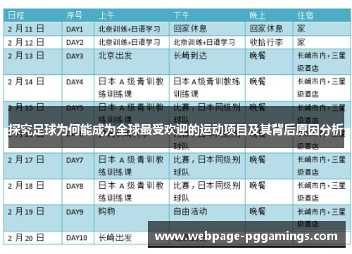 探究足球为何能成为全球最受欢迎的运动项目及其背后原因分析
