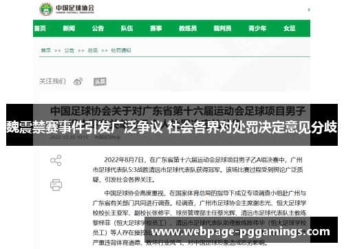 魏震禁赛事件引发广泛争议 社会各界对处罚决定意见分歧