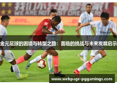 金元足球的困境与转型之路：面临的挑战与未来发展启示