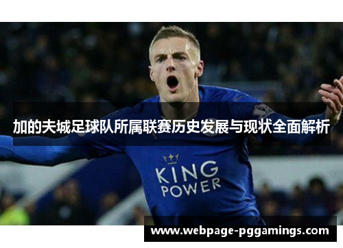 加的夫城足球队所属联赛历史发展与现状全面解析 加的夫城足球队所属联赛历史发展与现状全面解析