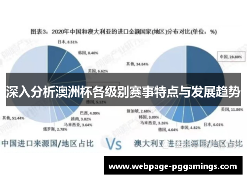 深入分析澳洲杯各级别赛事特点与发展趋势