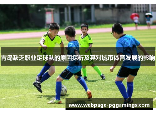 青岛缺乏职业足球队的原因探析及其对城市体育发展的影响